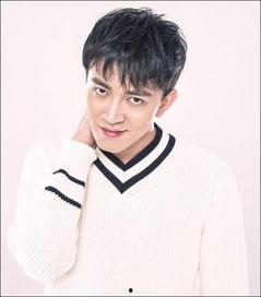 刘赫个人资料,才华横溢的青年才俊，多领域成就斐然  第3张